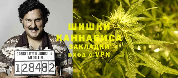 амф Алзамай