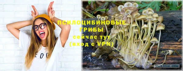 амф Алзамай