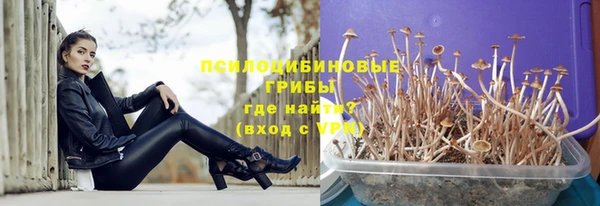 амф Алзамай