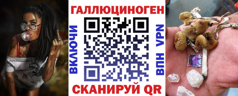 купить наркоту  гидра зеркало  Галлюциногенные грибы Psilocybine cubensis  Майкоп 
